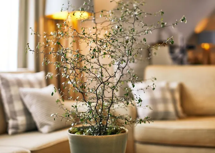 Ξενοδοχείο Fuchsbau Romantik & Restaurant & Fox Bar Timmendorfer Strand